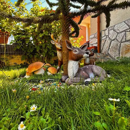 димитрови Dimitrovi בית נופש דבין