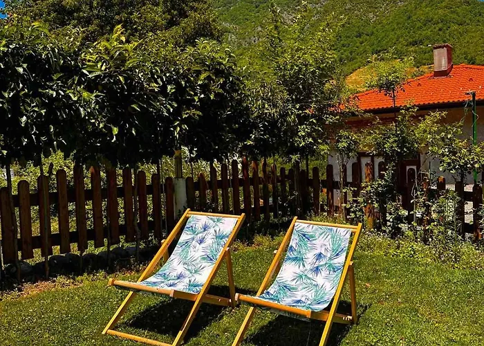 димитрови Dimitrovi * דבין