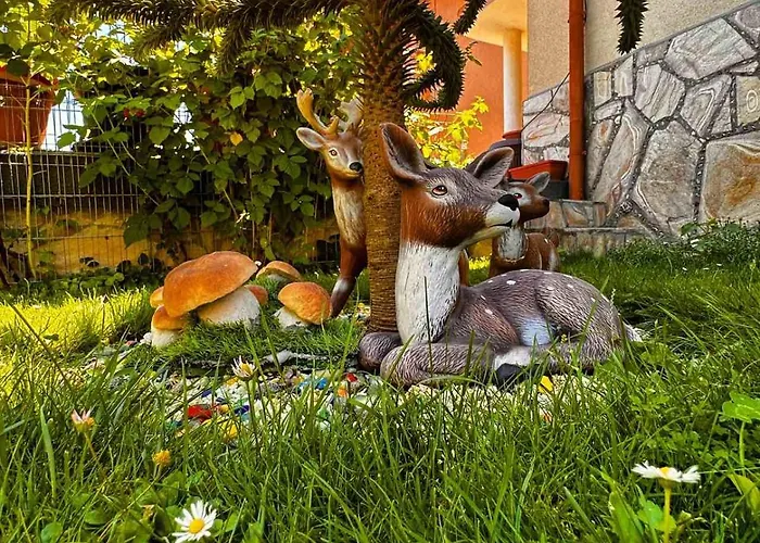 димитрови Dimitrovi בית נופש דבין