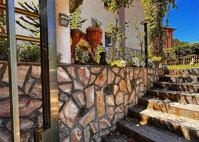 димитрови Dimitrovi